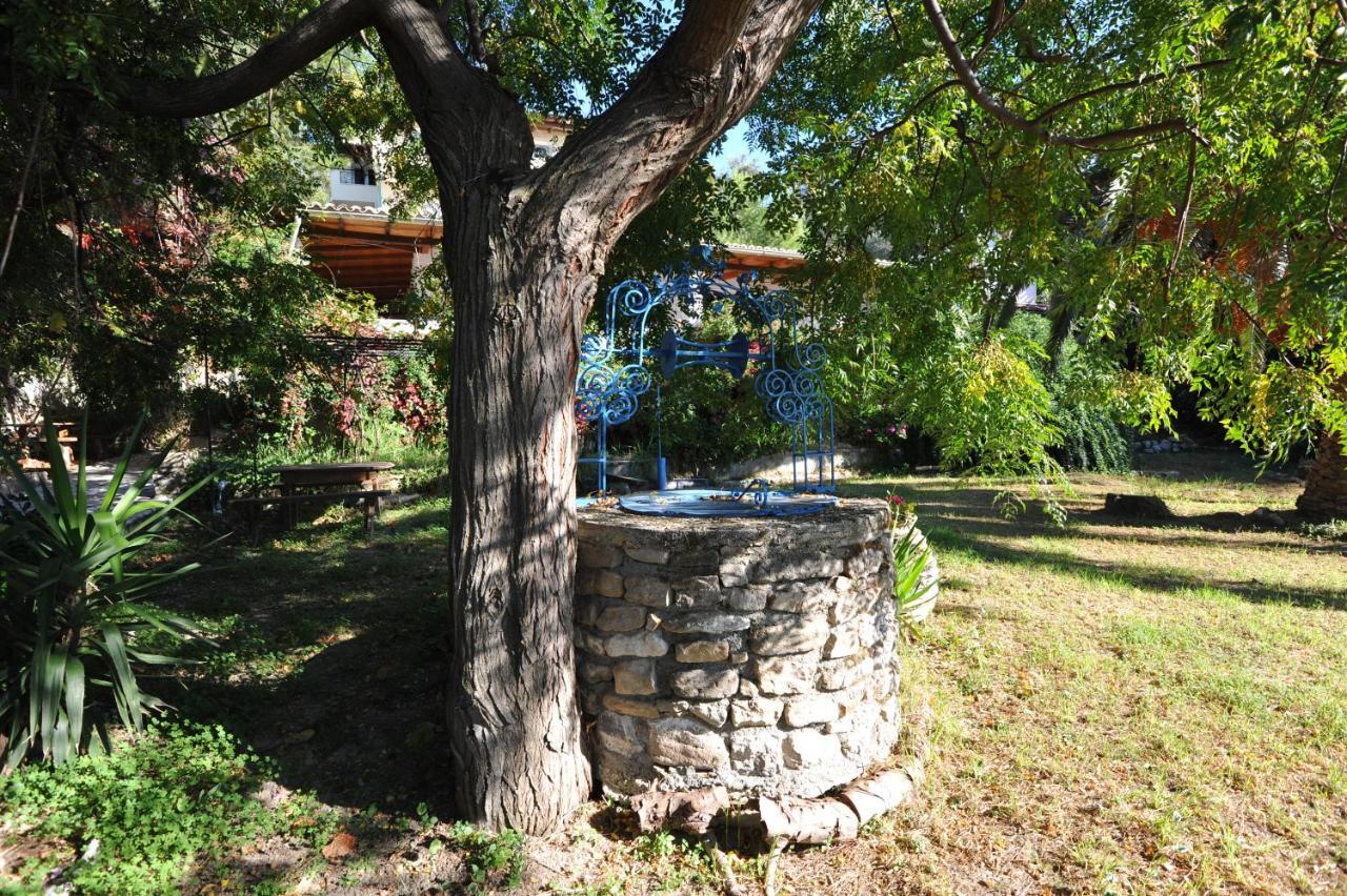 Villa Theodora View Apartments Zeys Agios Georgios Pagon Extérieur photo